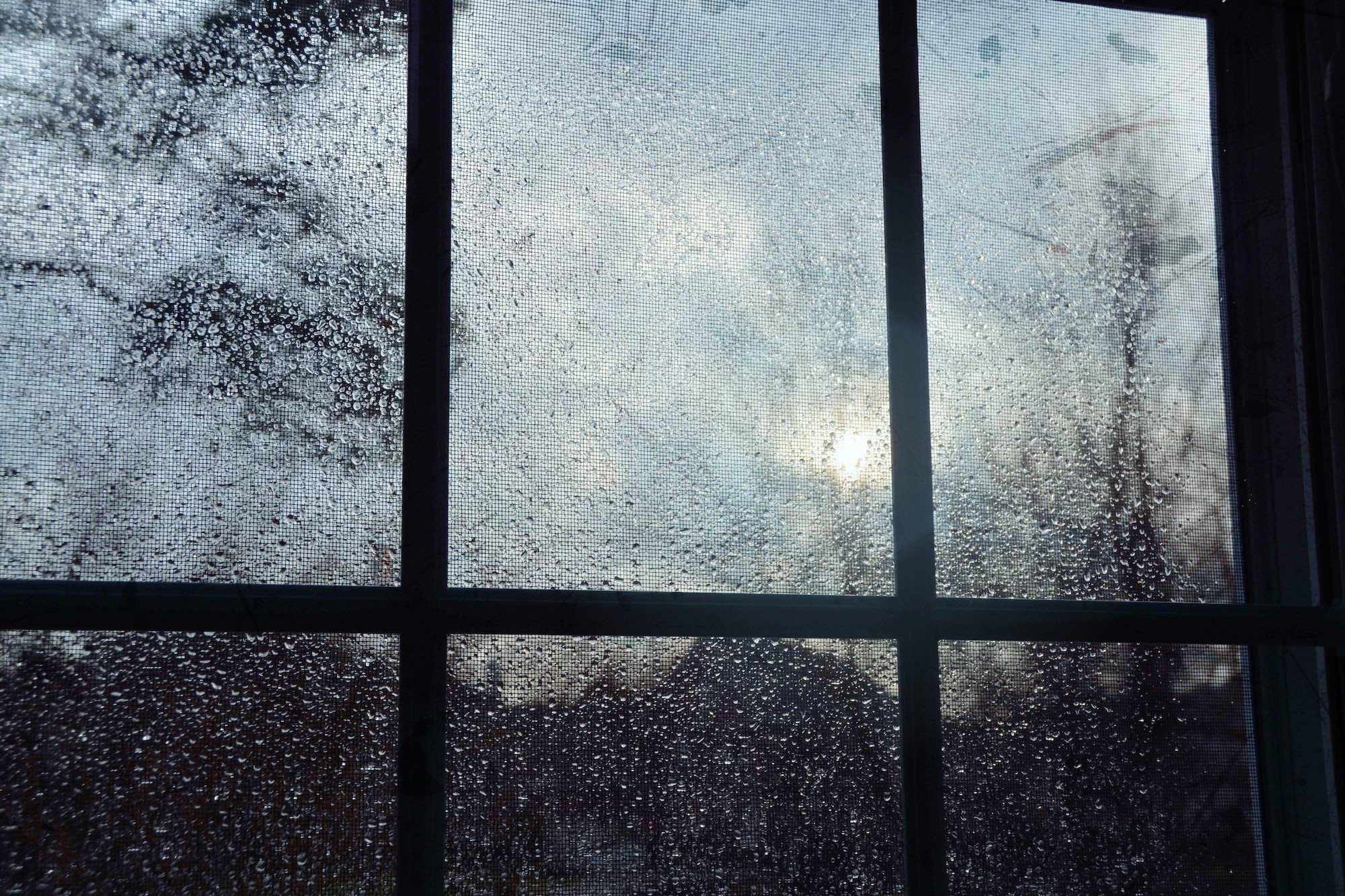 В стекла окон стучал. Дождь в окне. Дождь за окном. Пасмурно за окном. Пасмурный вид из окна.